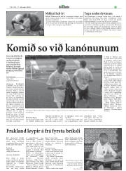 Síða 25