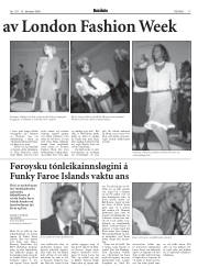 Síða 17