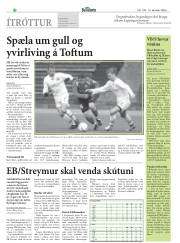 Síða 14