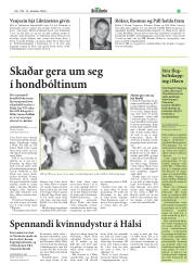 Síða 15