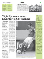 Síða 17