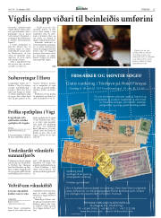 Síða 25