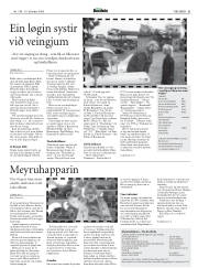 Síða 31
