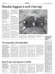 Síða 16