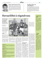 Síða 29