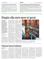 Síða 20