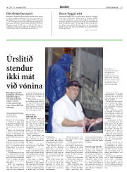 Síða 29