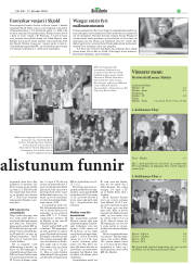 Síða 33