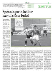 Síða 15