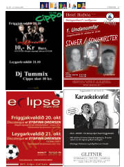 Síða 31