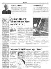 Síða 6