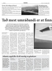 Síða 8