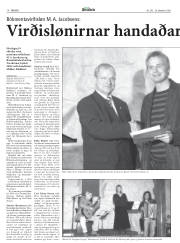 Síða 17