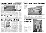 Síða 3