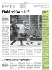 Síða 33