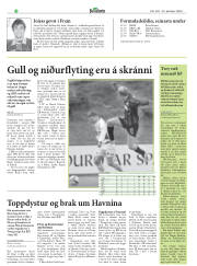 Síða 35