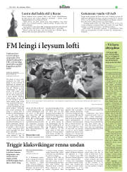 Síða 36