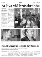 Síða 6