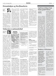 Síða 11
