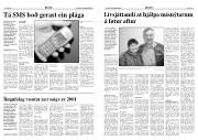 Síða 6