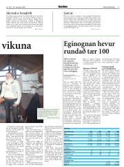 Síða 17
