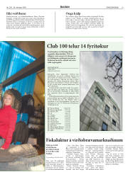Síða 19