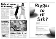 Síða 4