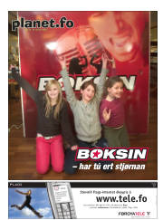 Síða 17