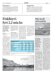 Síða 7