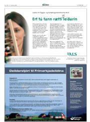Síða 3