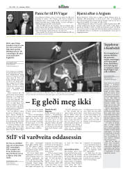 Síða 15