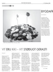 Síða 30