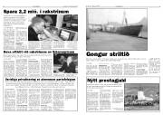 Síða 5