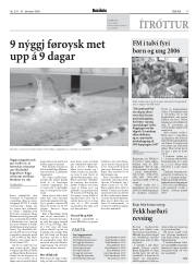 Síða 17