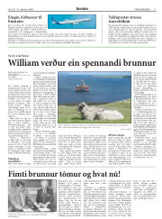 Síða 21