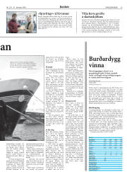 Síða 29