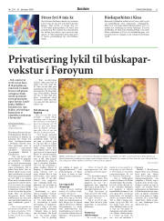 Síða 31