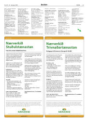 Síða 45