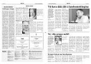 Síða 2