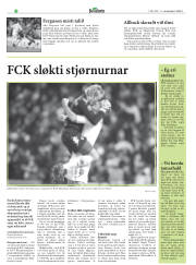 Síða 28
