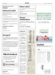 Síða 30