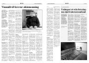 Síða 6