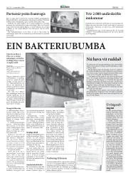 Síða 17