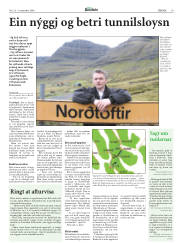 Síða 19