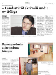 Síða 20