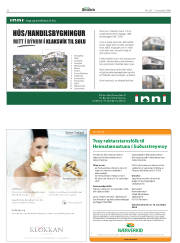 Síða 22