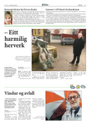 Síða 29