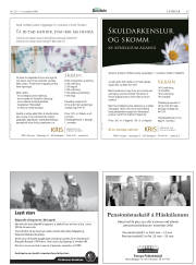Síða 45