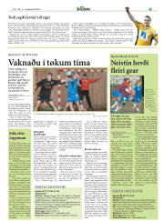 Síða 19