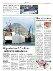 Síða 19